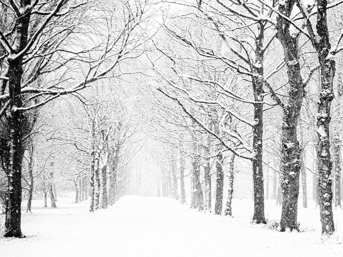 5 Ways To Stay Healthy This&nbsp;Winter